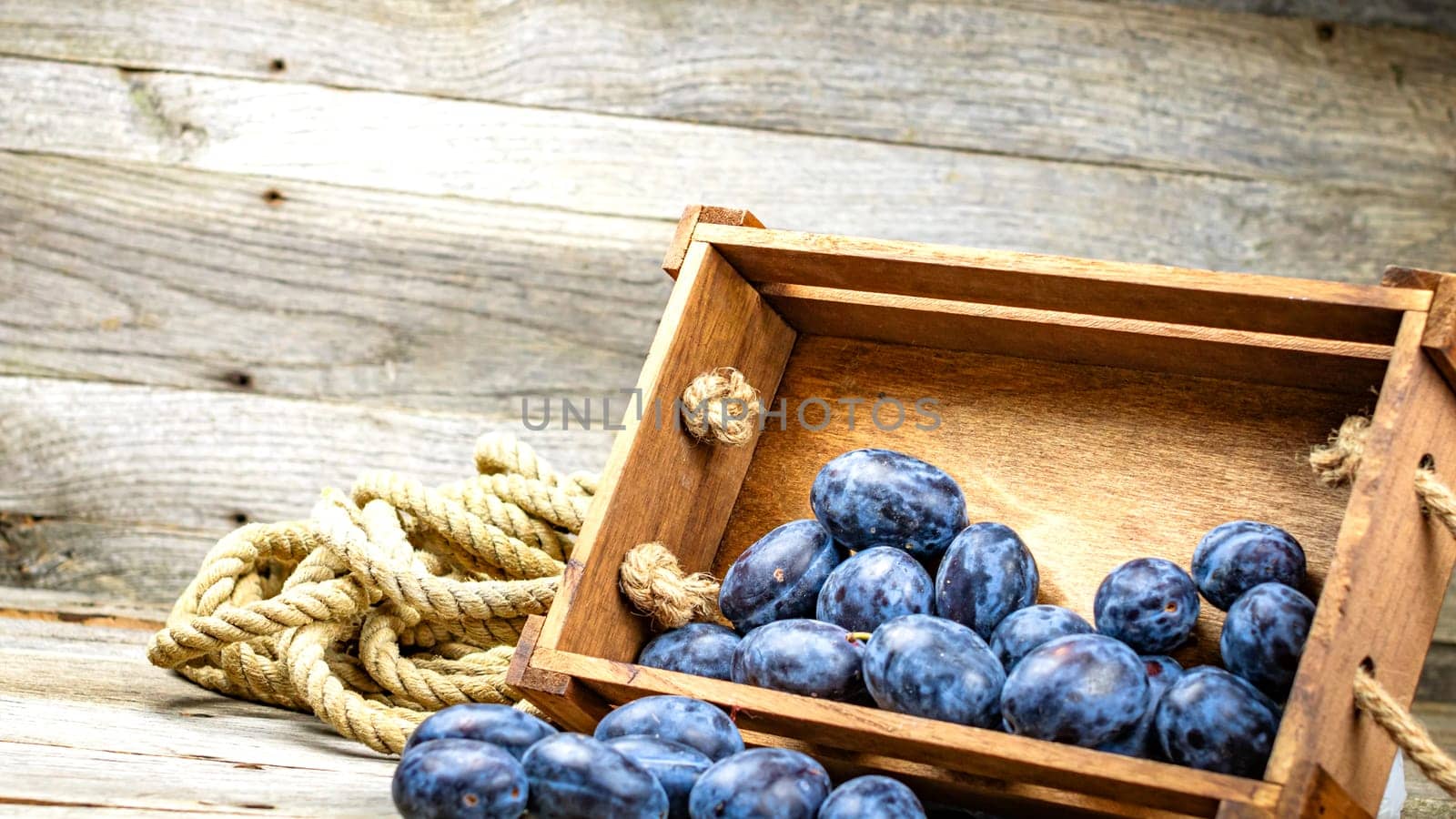 Ripe blue plums in a wooden crate in a rustic composition.