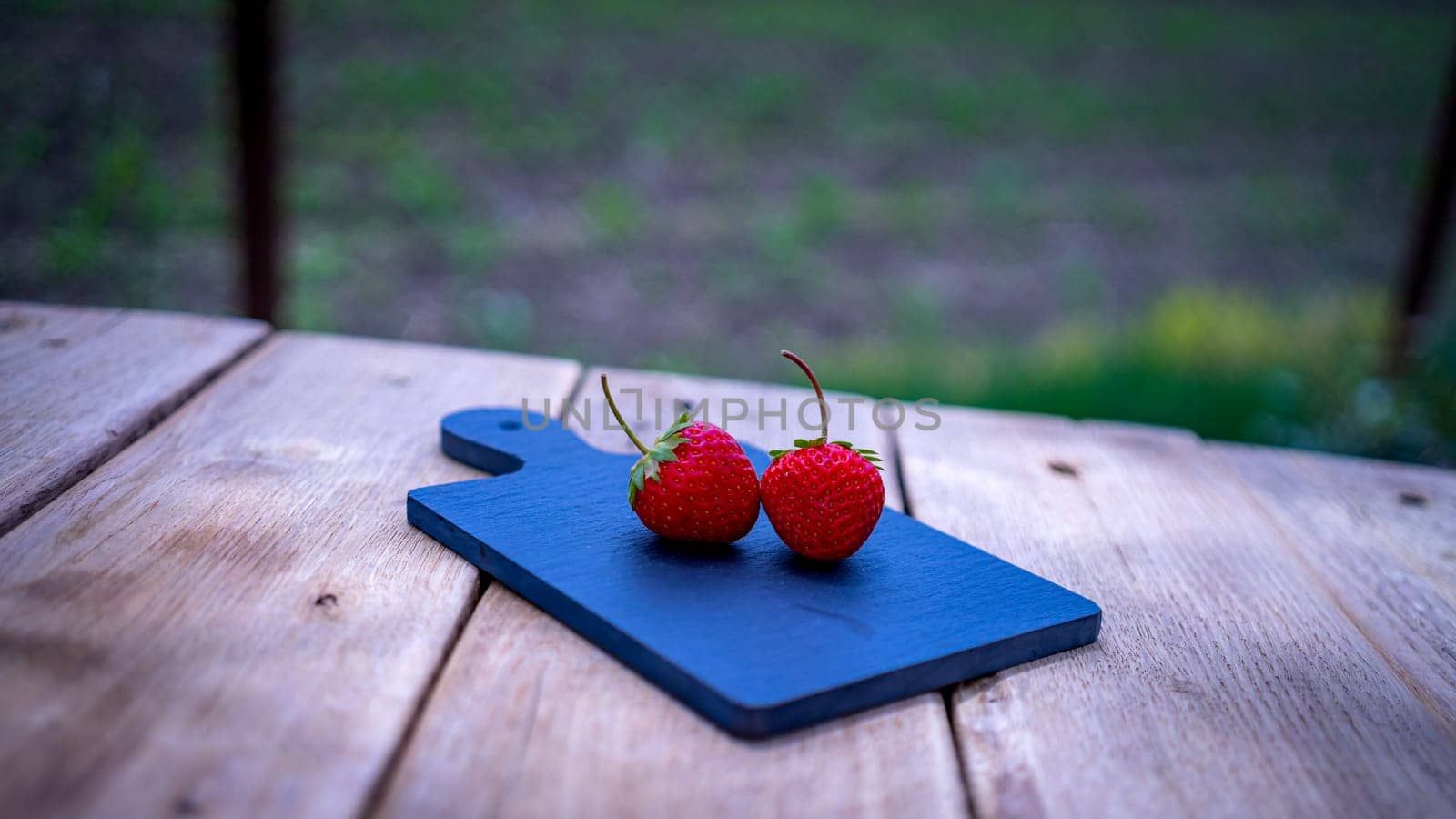 Close up of two strawberries on small black cutting board isolated outdoor on wooden table.