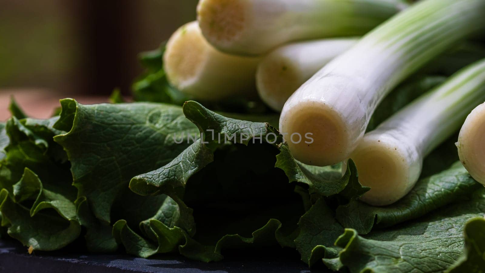 Close up of details of fresh green onions (scallion) and green lettuce on a cutting board isolated. by vladispas