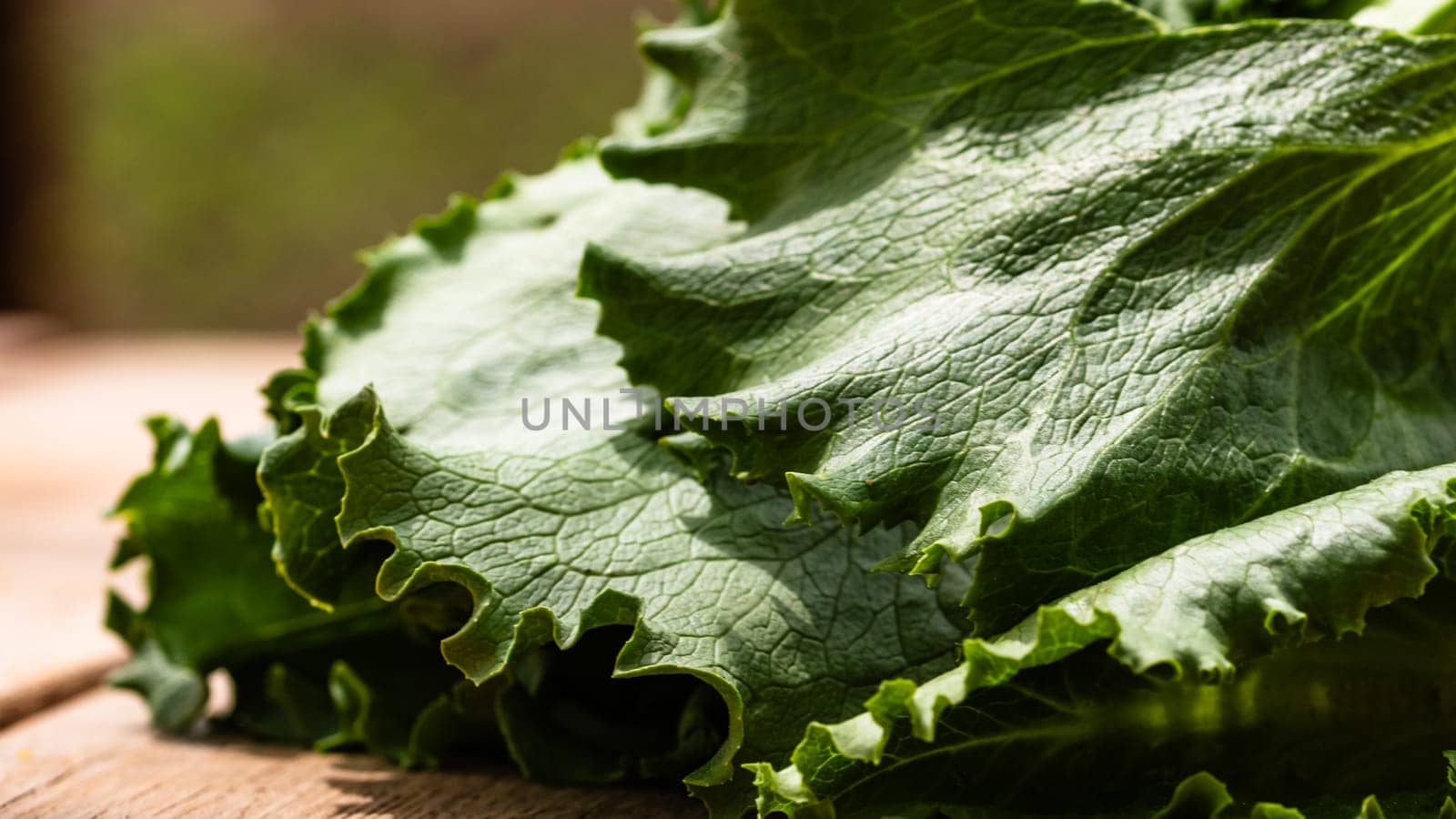 Close up of details of fresh green lettuce on a wooden table isolated.