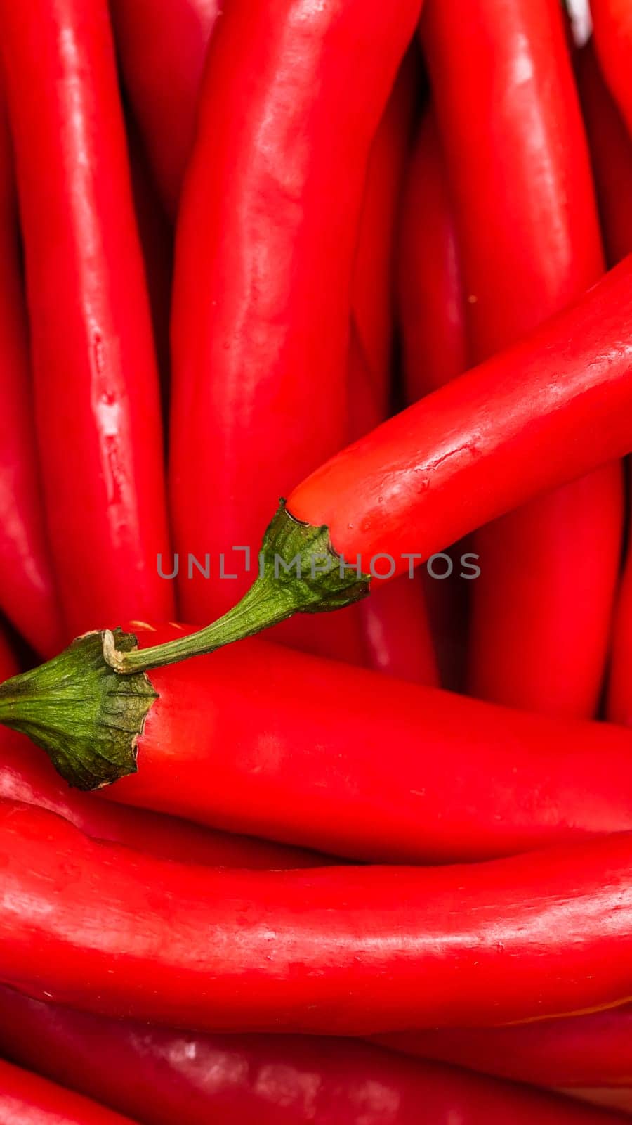 Red hot chilli peppers, close up. Background of red chilies