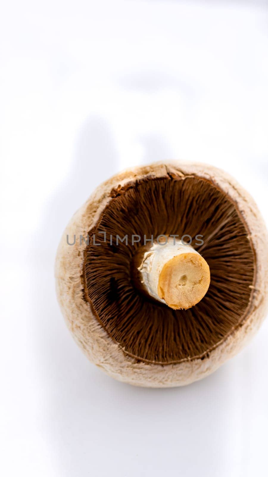 Fresh champignons, champignon mushrooms, close-up, isolated by vladispas
