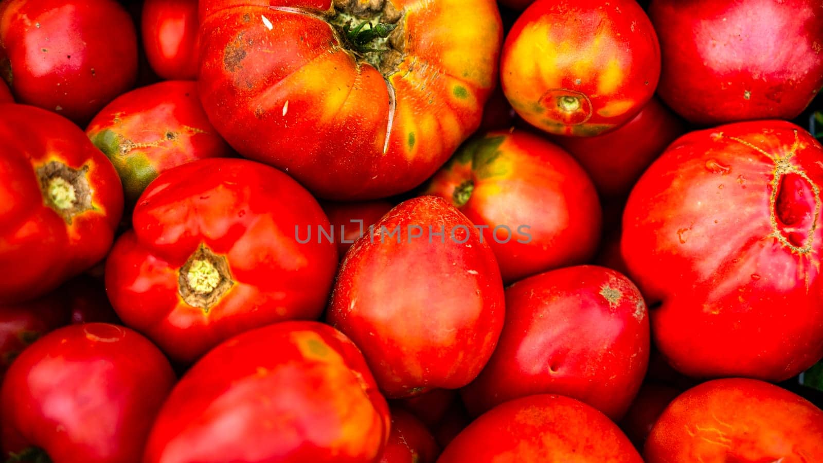 Farmers market natural ripe tomatoes. Fresh red tomato