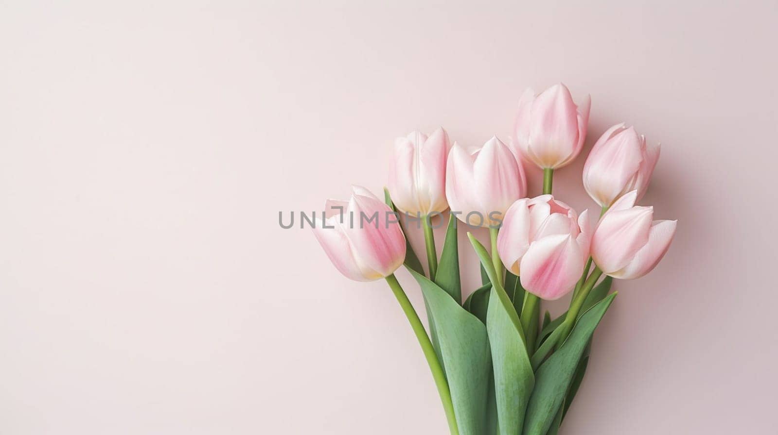Pink tulips flowers on pastel pink background. Spring and easter greeting card design layout. Flat lay, top view, copy space. by kizuneko