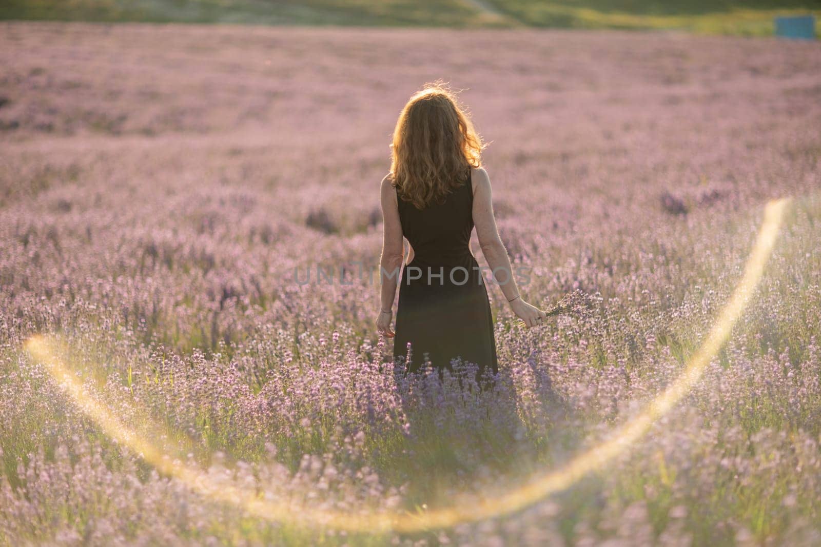 Back view woman lavender sunset. Happy woman in black dress. Aromatherapy concept, lavender oil, photo session in lavender.