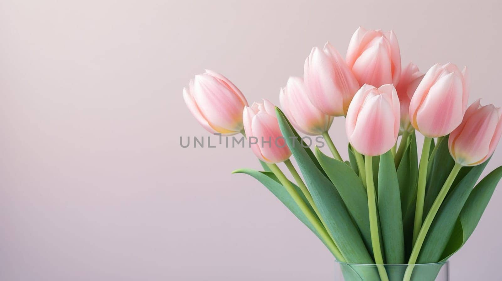 Pink tulips flowers on pastel pink background. Spring and easter greeting card design layout. Flat lay, top view, copy space. by kizuneko