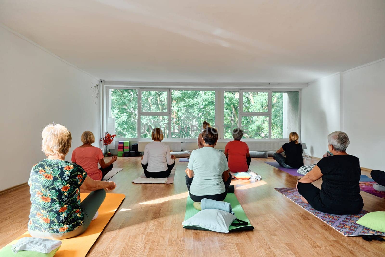 A group of senior women engage in various yoga exercises, including neck, back, and leg stretches, under the guidance of a trainer in a sunlit space, promoting well-being and harmony.