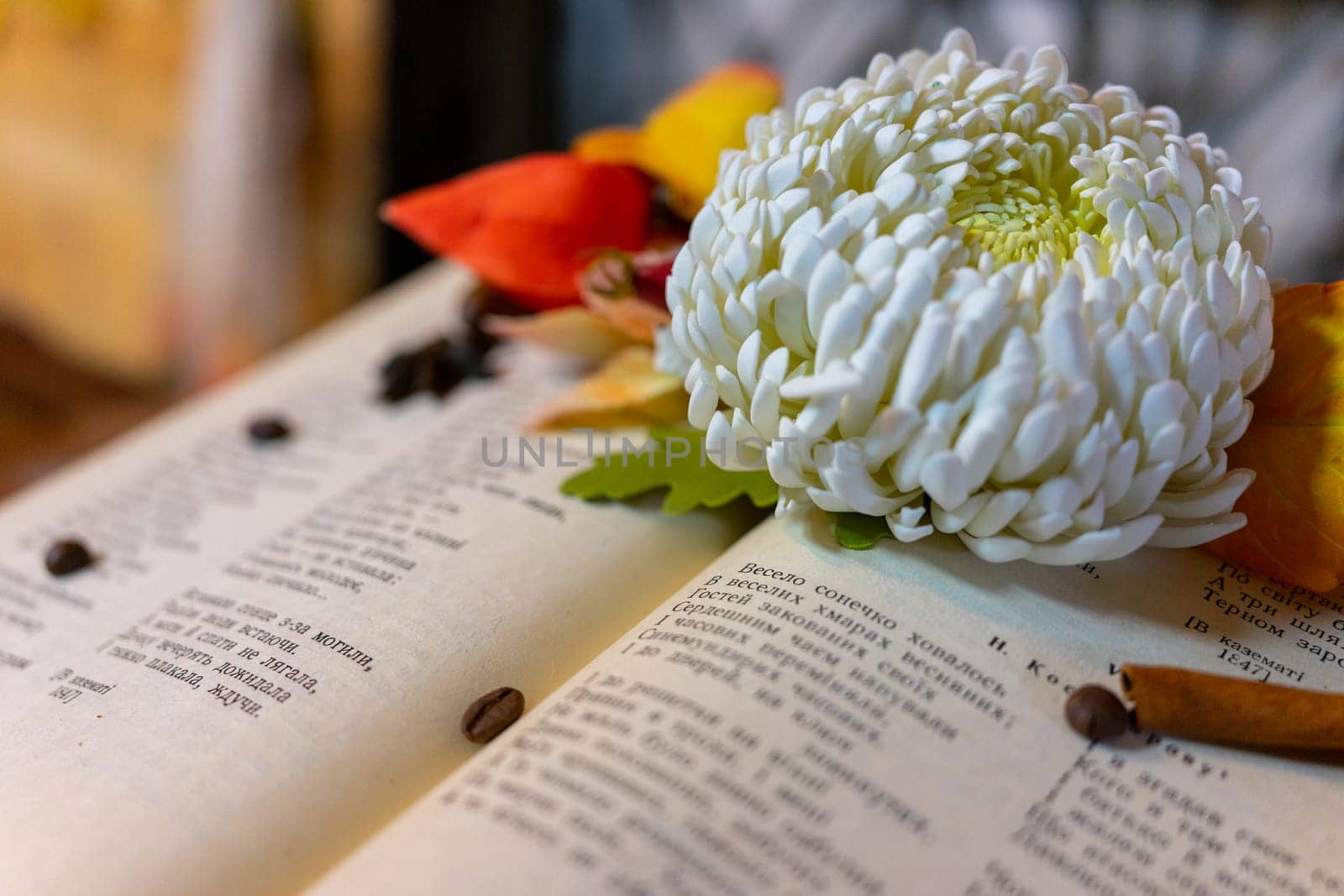 Open book. A white flower and coffee beans lie on an open book. Selective focus, shallow depth of sharply depicted space.