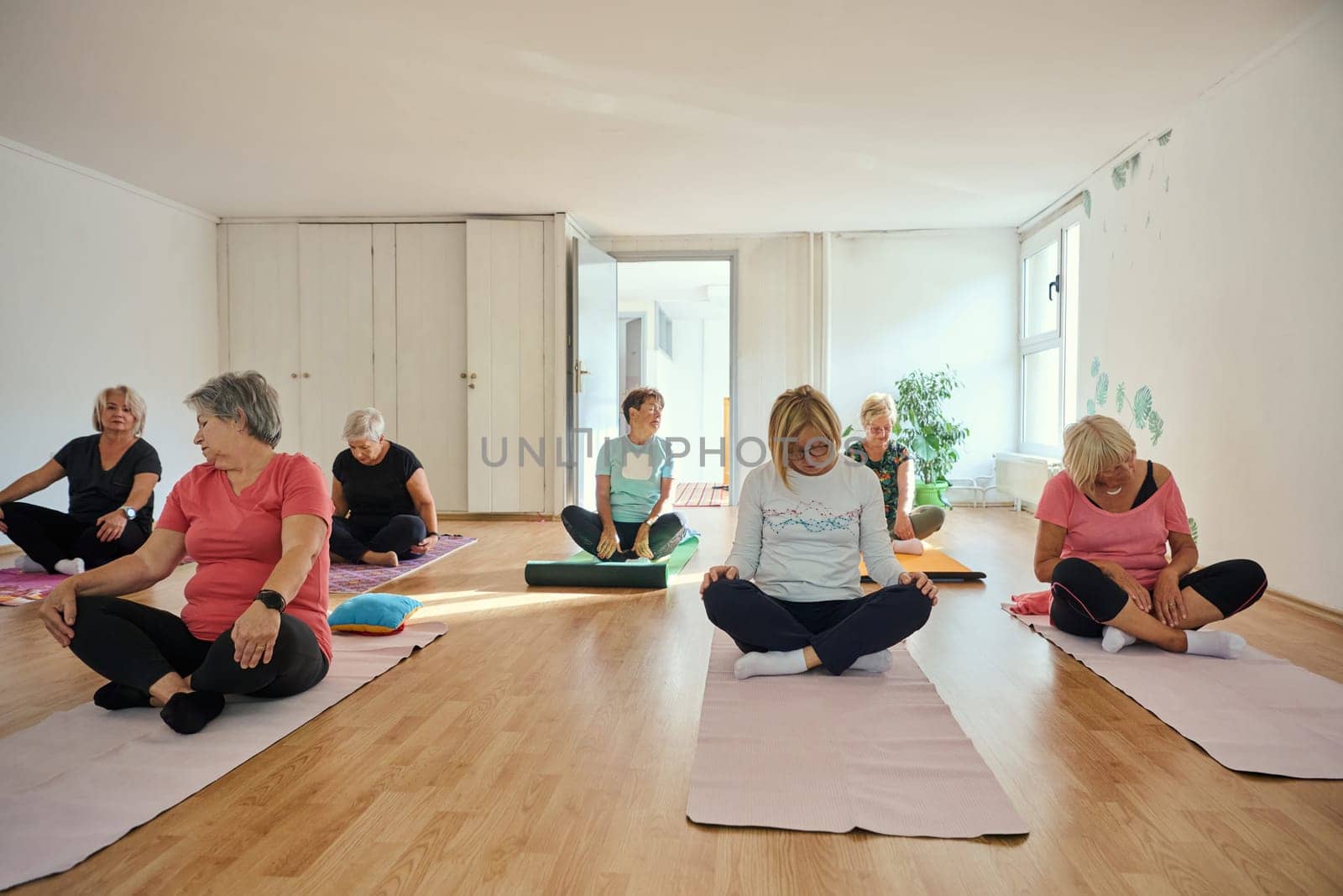 A group of senior women engage in various yoga exercises, including neck, back, and leg stretches, under the guidance of a trainer in a sunlit space, promoting well-being and harmony.