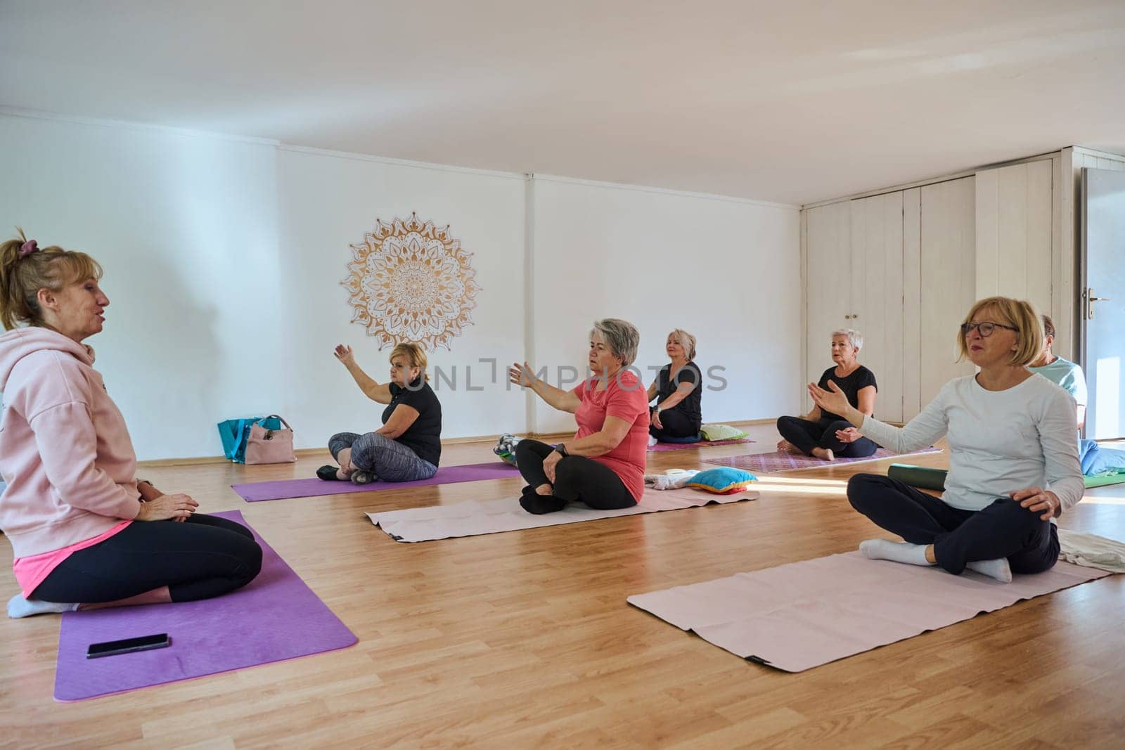 A group of senior women engage in various yoga exercises, including neck, back, and leg stretches, under the guidance of a trainer in a sunlit space, promoting well-being and harmony.