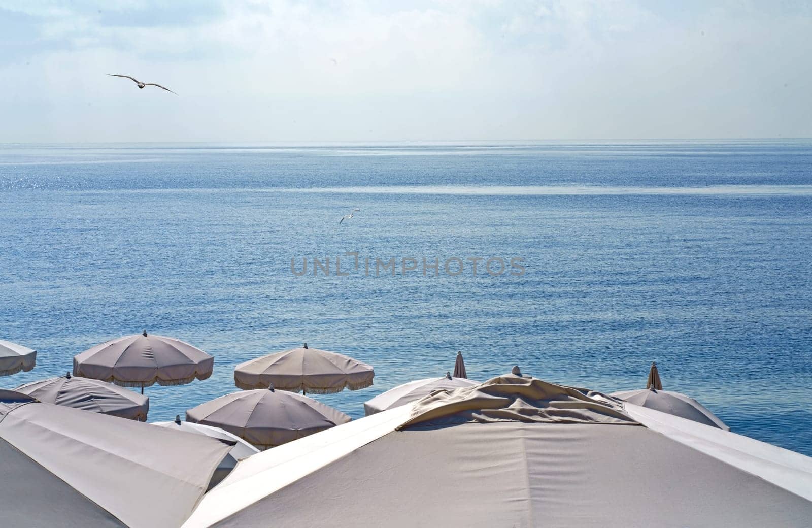 France. Nice. Nice beach with beach chairs, white umbrellas and palm trees. luxury beach against the background of the beauty of the sea. summer holiday by aprilphoto