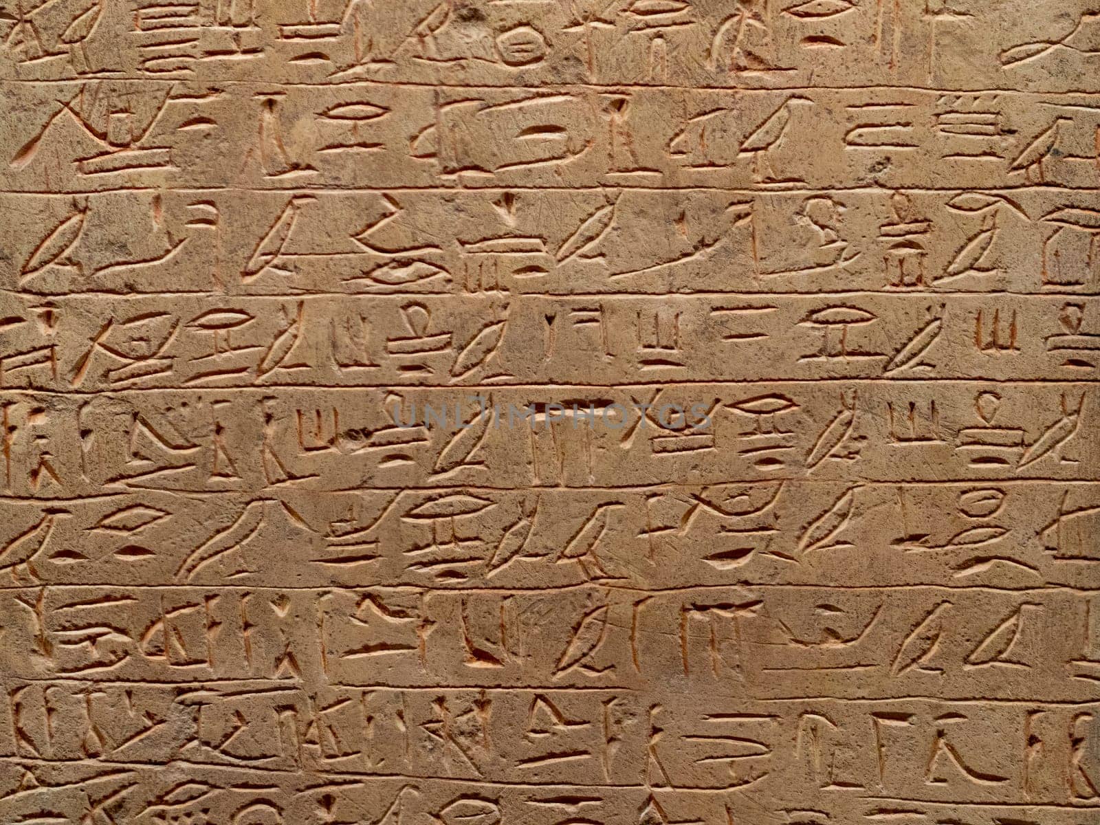 old egypt hieroglyphs carved on the stone.