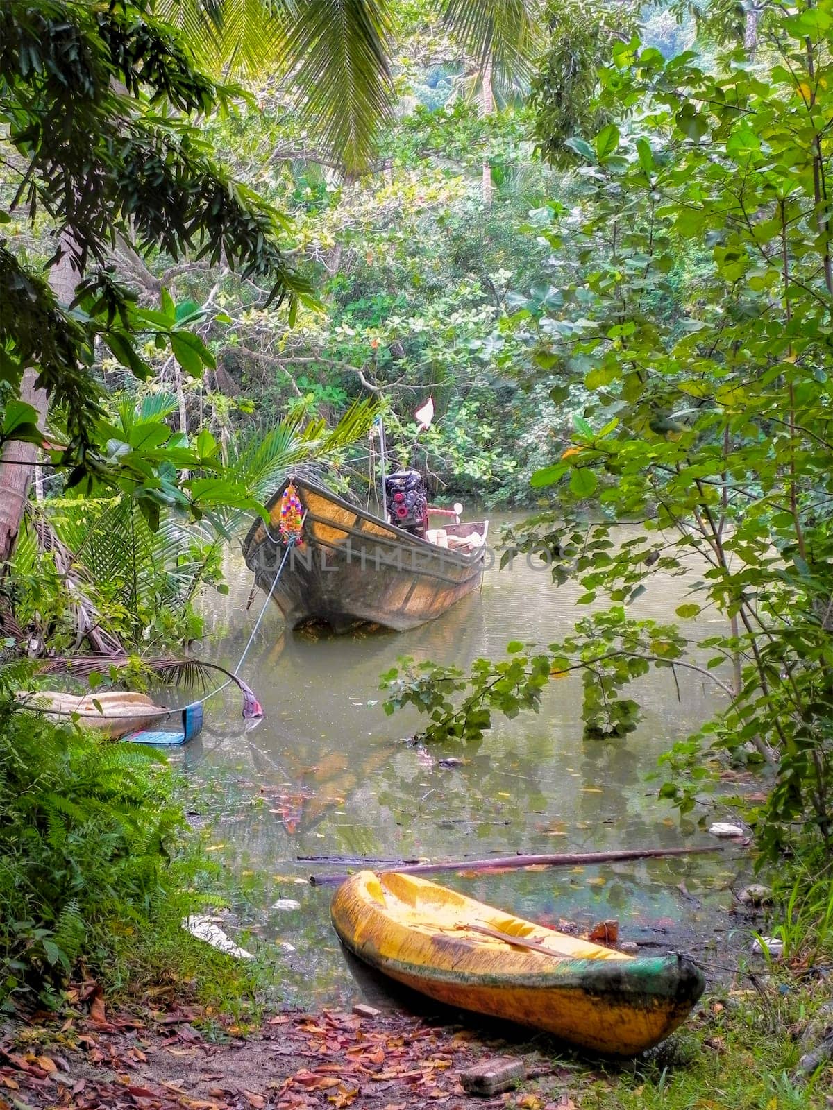 thai fishing boat on the jungle river.