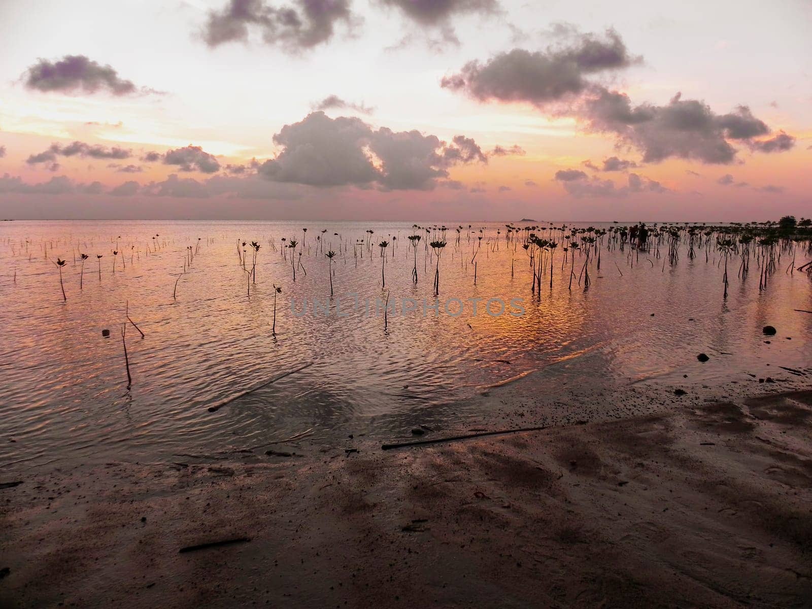 traditional banka outrigger boat in mangroves backlit by sunset, siqijour island, the philippines