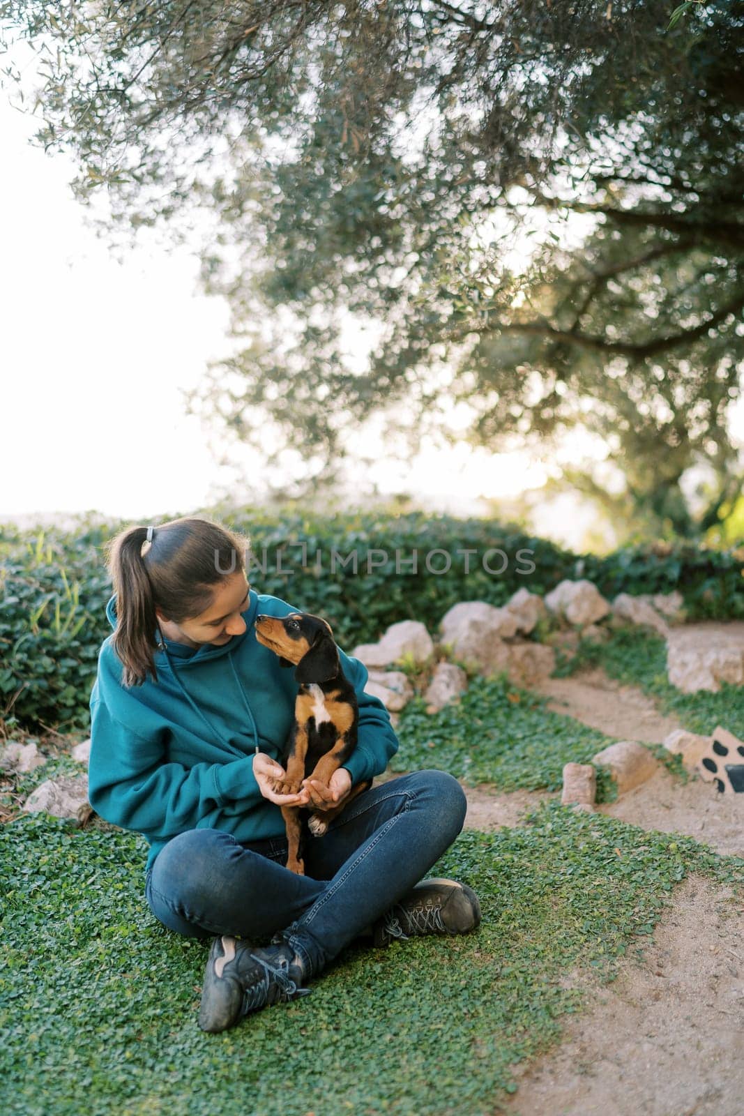 Girl is sitting on the lawn with a big black puppy on her knees leaning towards his nose. High quality photo