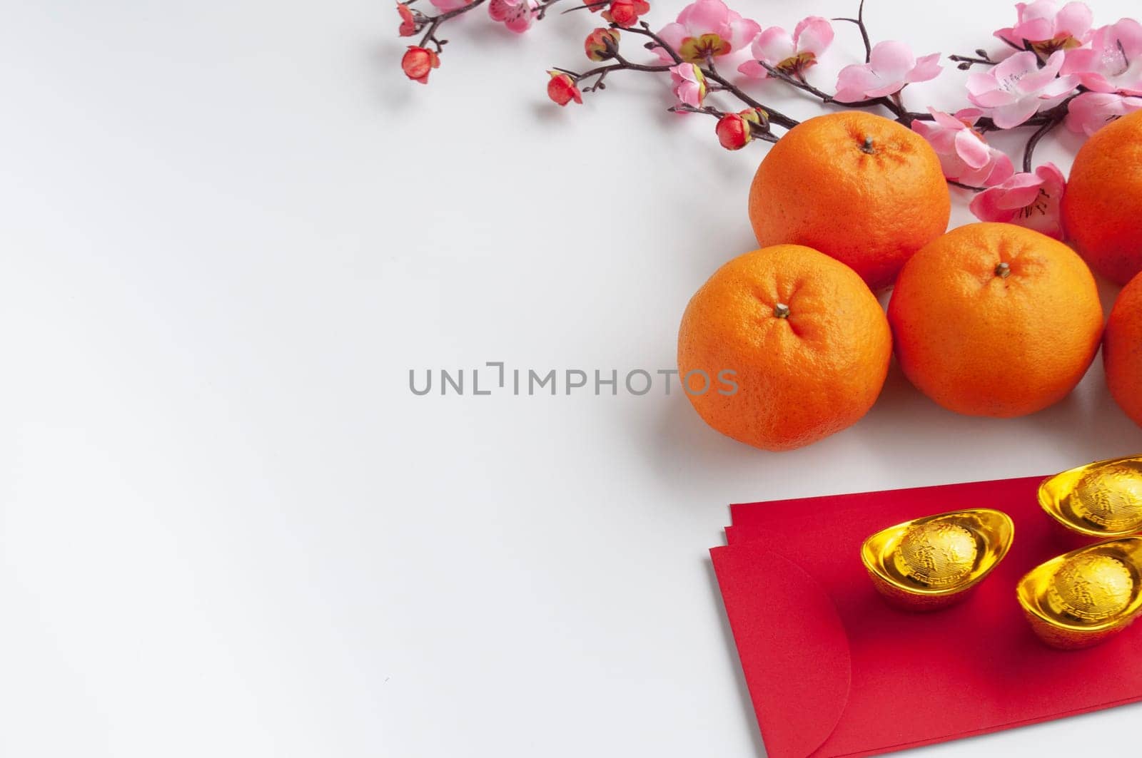 Chinese New Year decoration with customizable space for text or wishes.