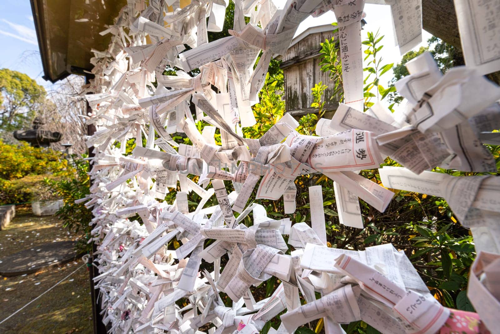 Tokyo, Japan. January 2024. the Omikuji sheets that predict one's future knotted outside Kiyomizu Kannon-do Temple Buddhist temple in the city center