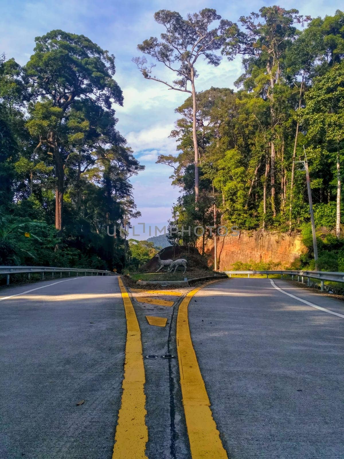 Empty beautiful road in the jungle in Thailand.