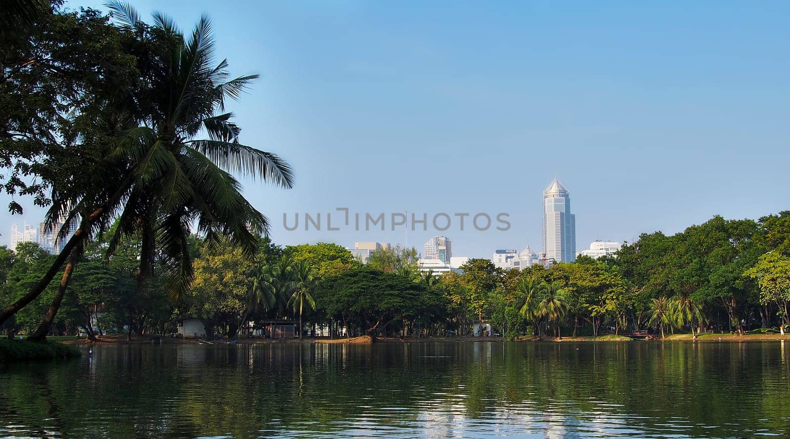 Lake view of Lumpini Park in the Thai capital's city center Bangkok, Thailand. Lumpini Park