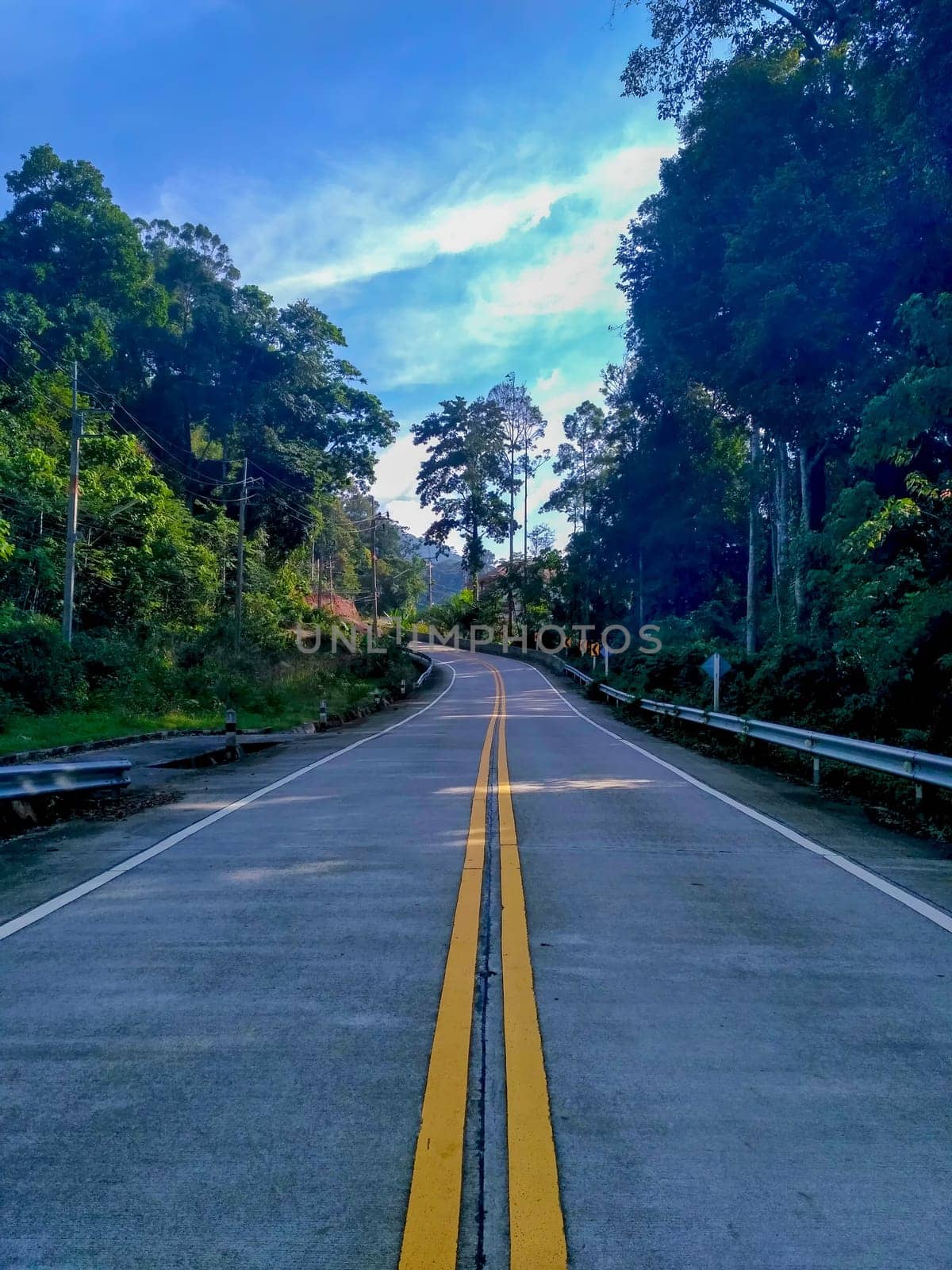Empty beautiful road in the jungle in Thailand.