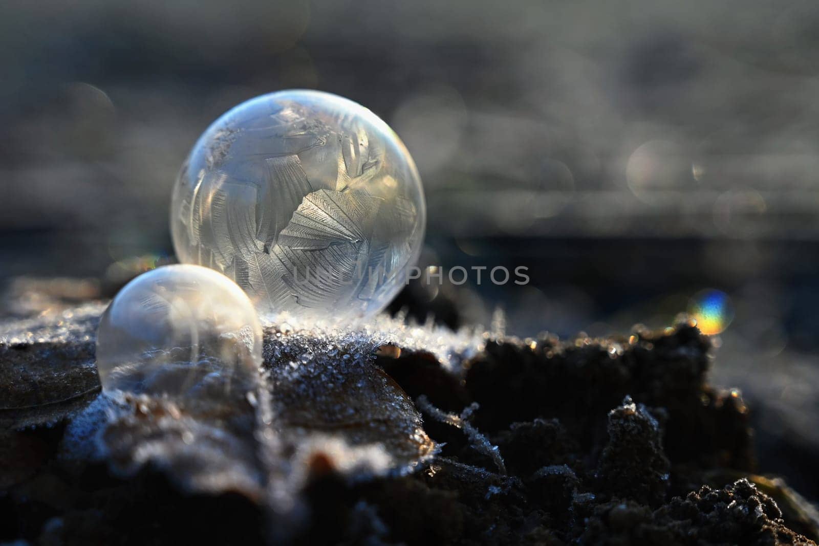 Frozen bubble in nature. A beautiful macro shot of nature in winter. Concept for environment, water and frost.