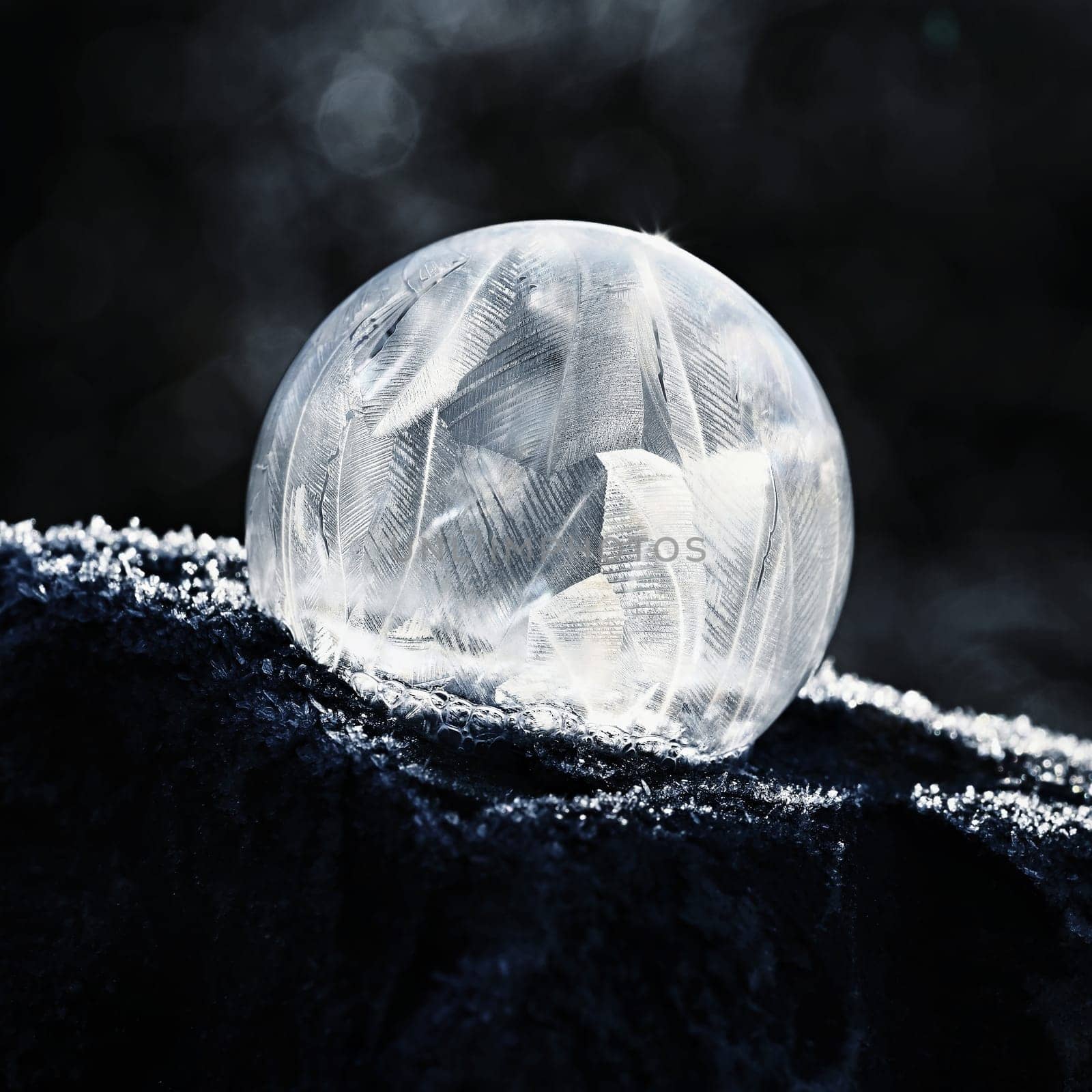 Frozen bubble in nature. A beautiful macro shot of nature in winter. Concept for environment, water and frost.