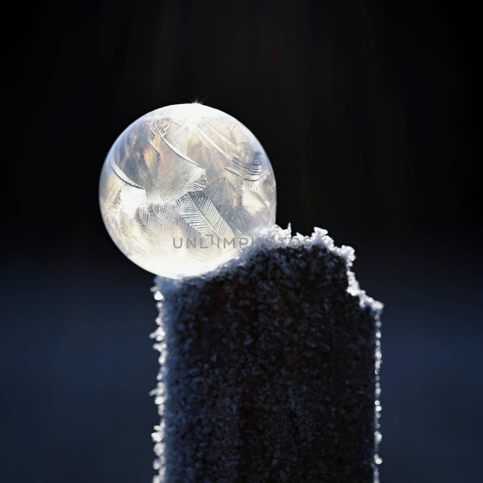 Frozen bubble in nature. A beautiful macro shot of nature in winter. Concept for environment, water and frost.