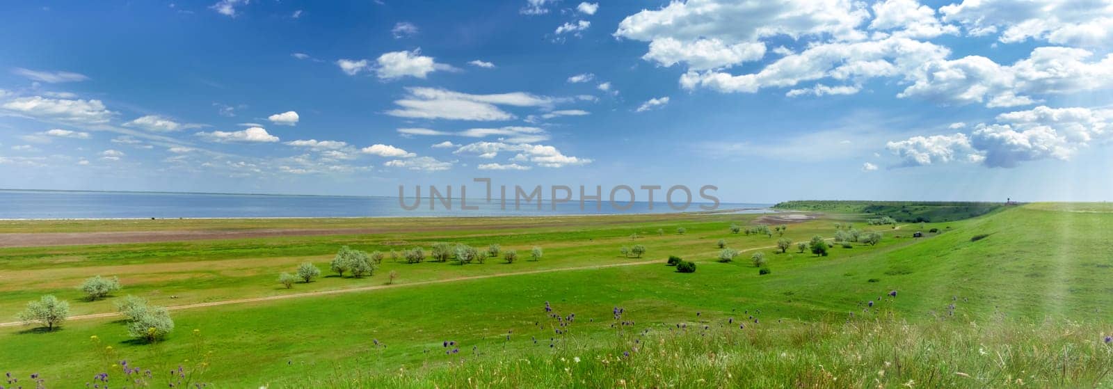 Green field and blue sky. Beautiful bright colorful summer spring landscape of green hills and sea. Panorama. download image by igor010