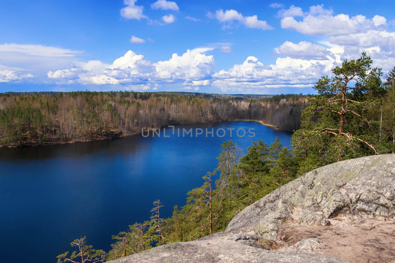 Beautiful aerial view of the lake and forest area. Russia, Karelia.