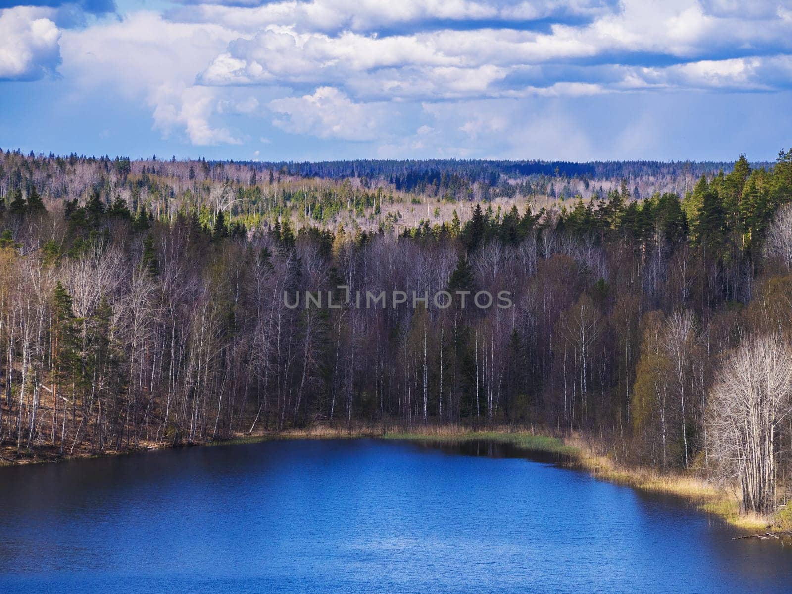 Beautiful aerial view of the lake and forest area. Russia, Karelia.