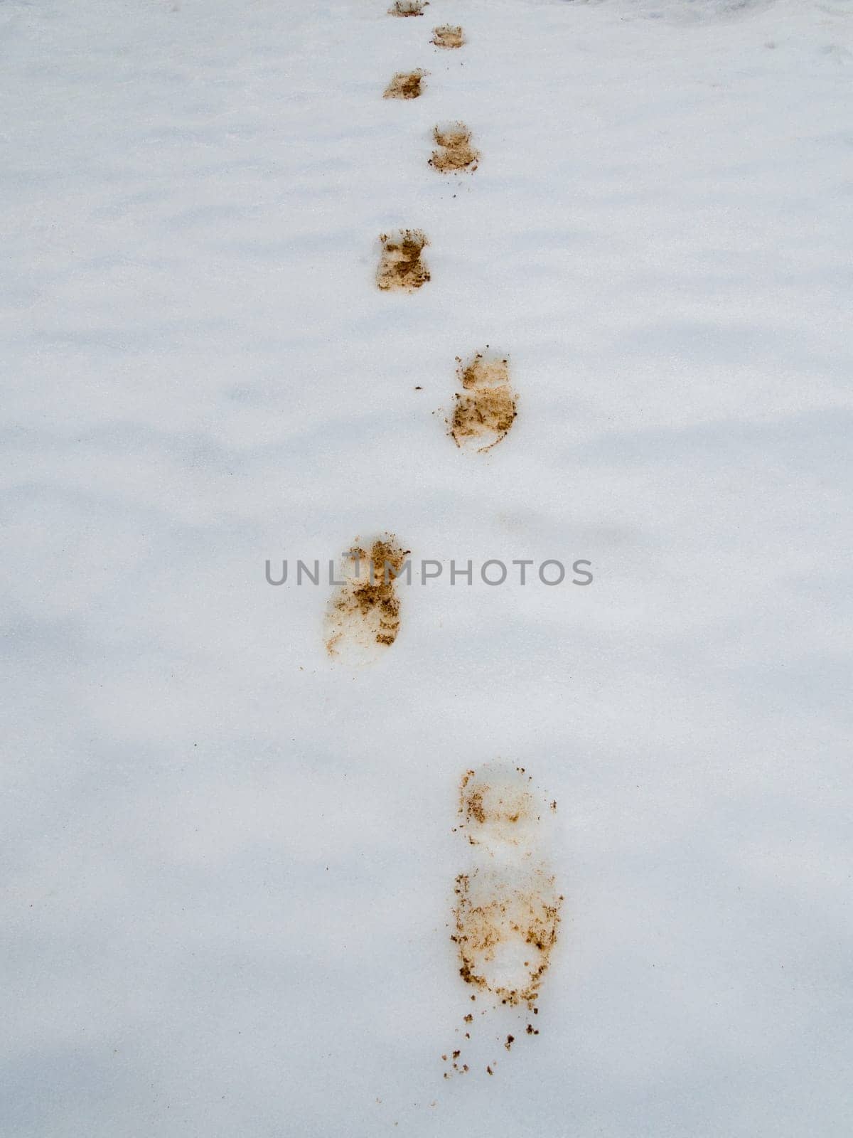 dirty mud footprint on a virgin white snow surface winter by Andre1ns