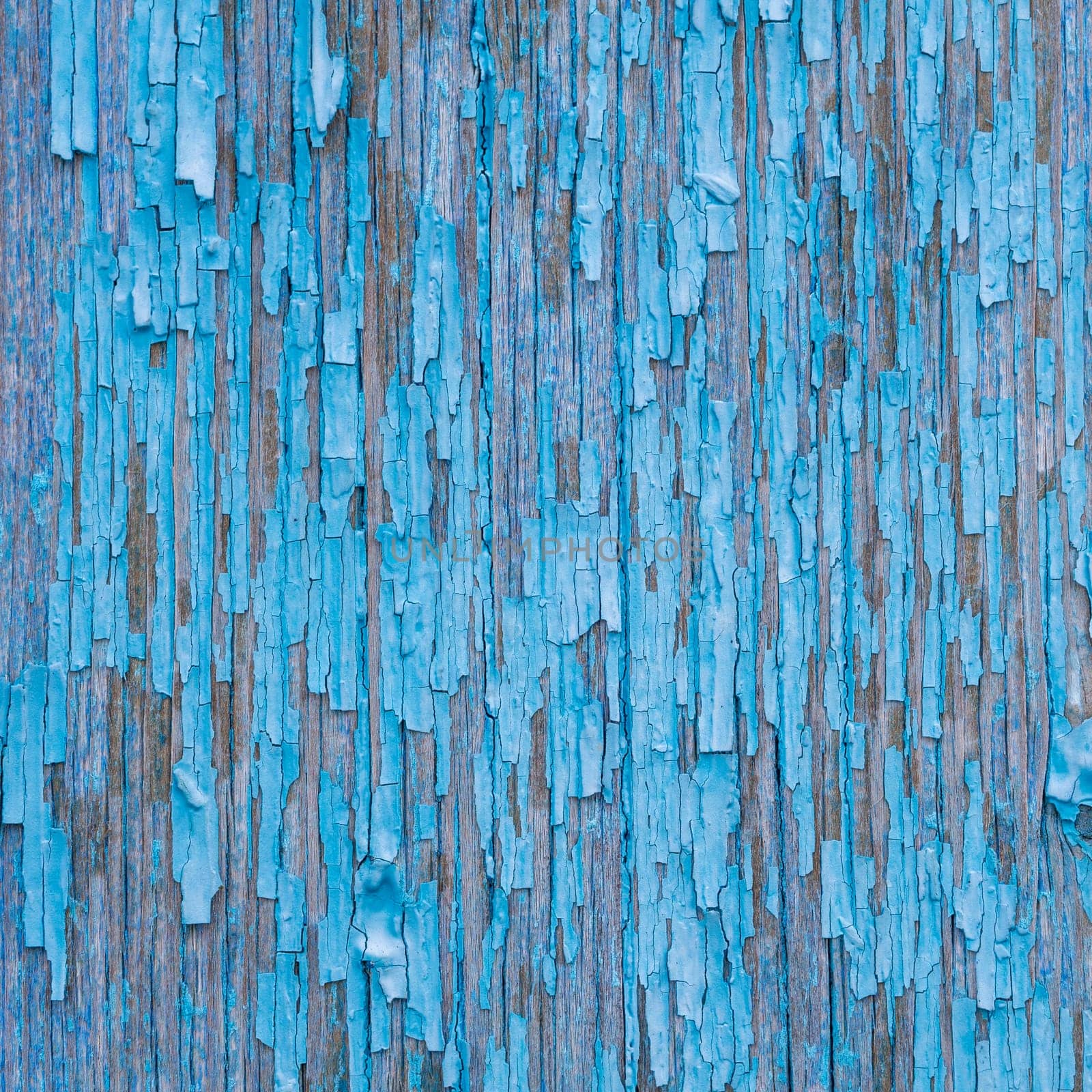 Old painted wood wall - texture or background