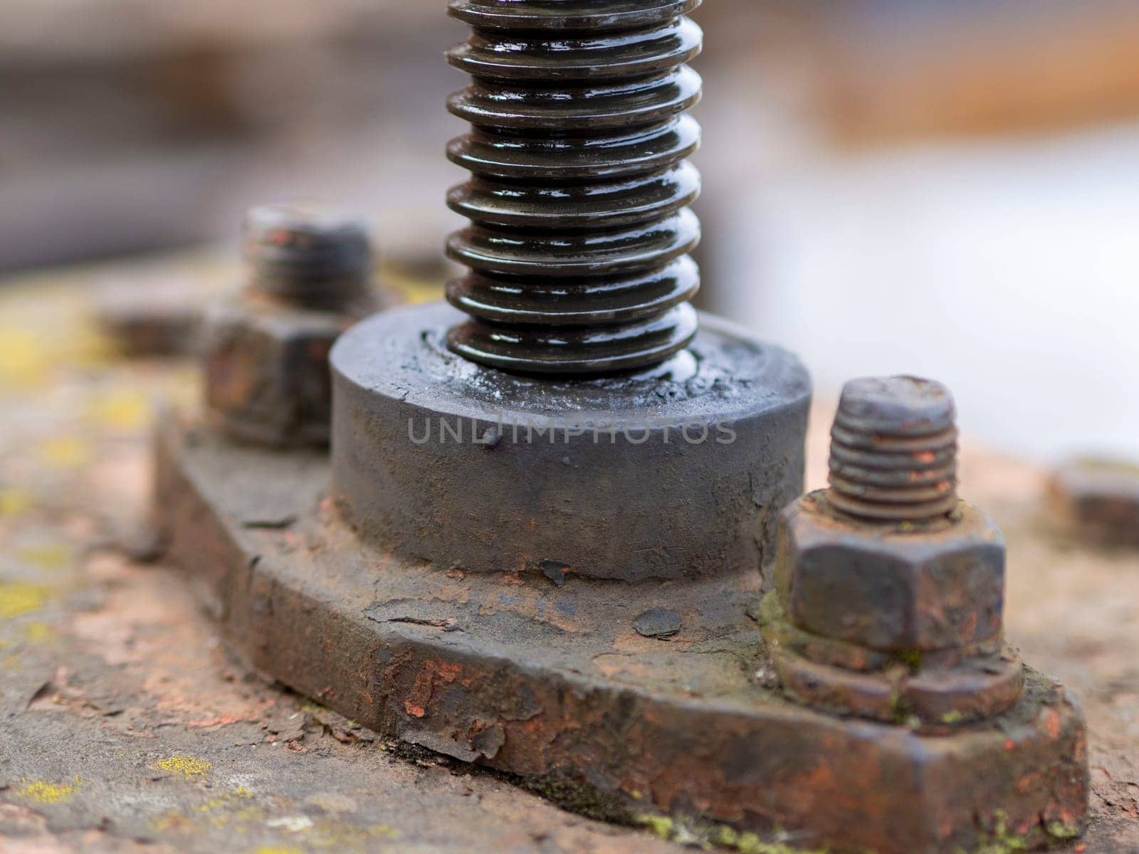 Bolt thread close up. bolt in grease