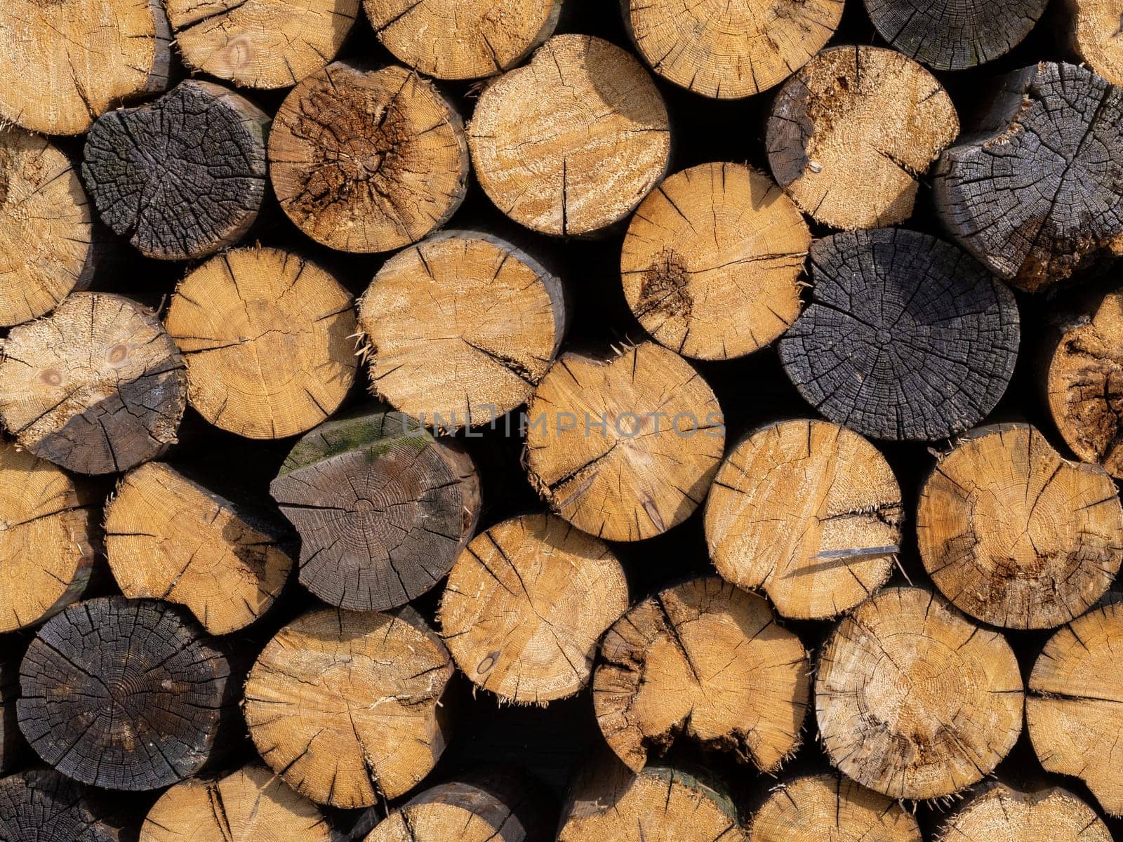 pile stacked natural sawn wooden logs background, top view by Andre1ns