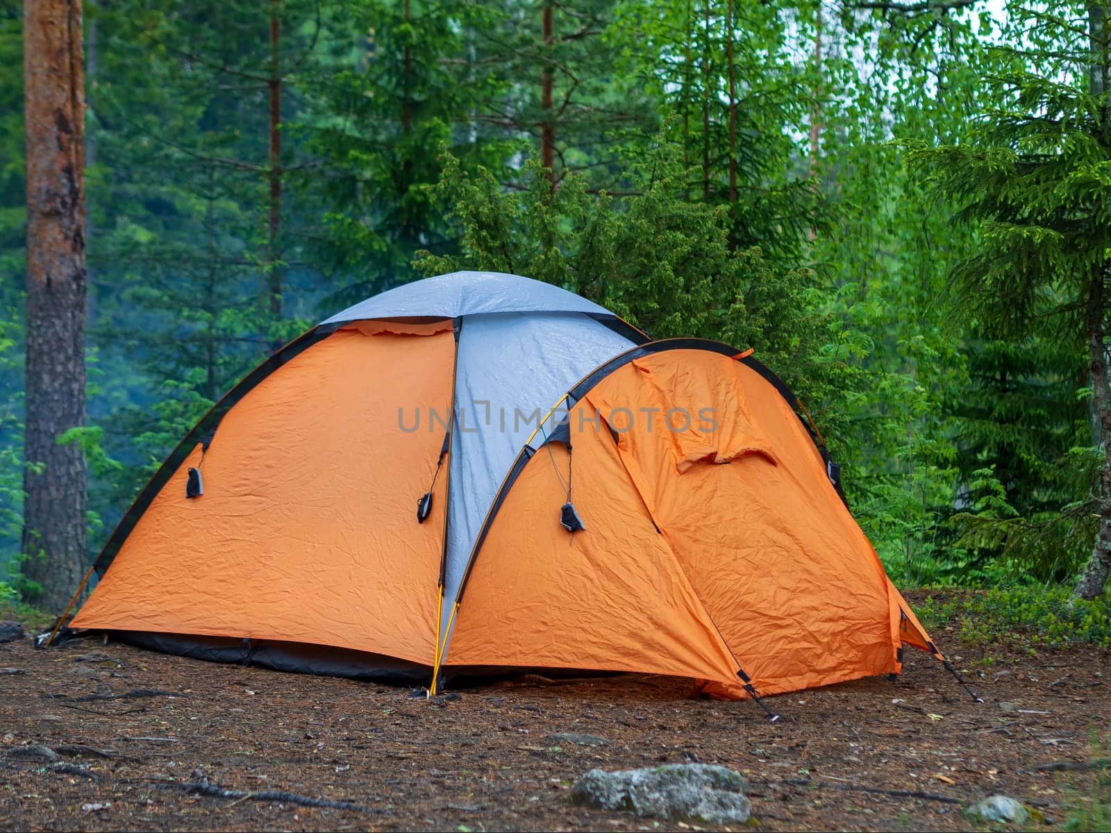 Orange tent on arcs in a green coniferous forest in summer
