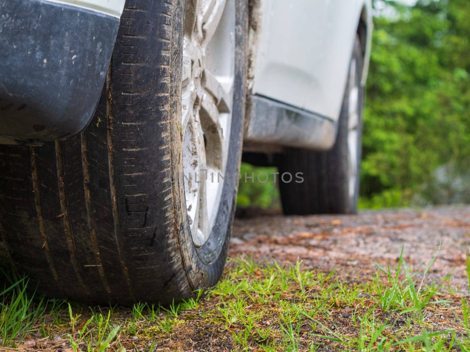 off-road car in the forest. car in nature in the forest near the lake.