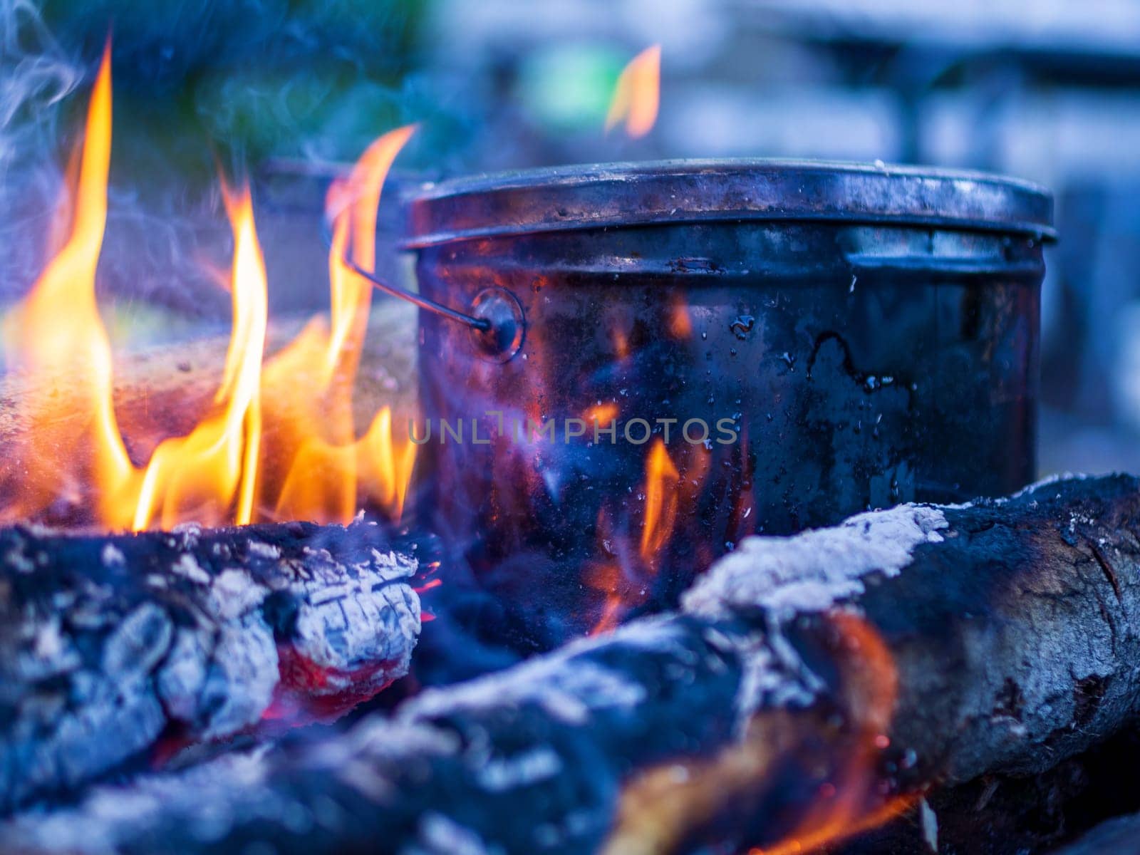 Bowler Sasha at the stake, Cooking food at the stake outdoors scene