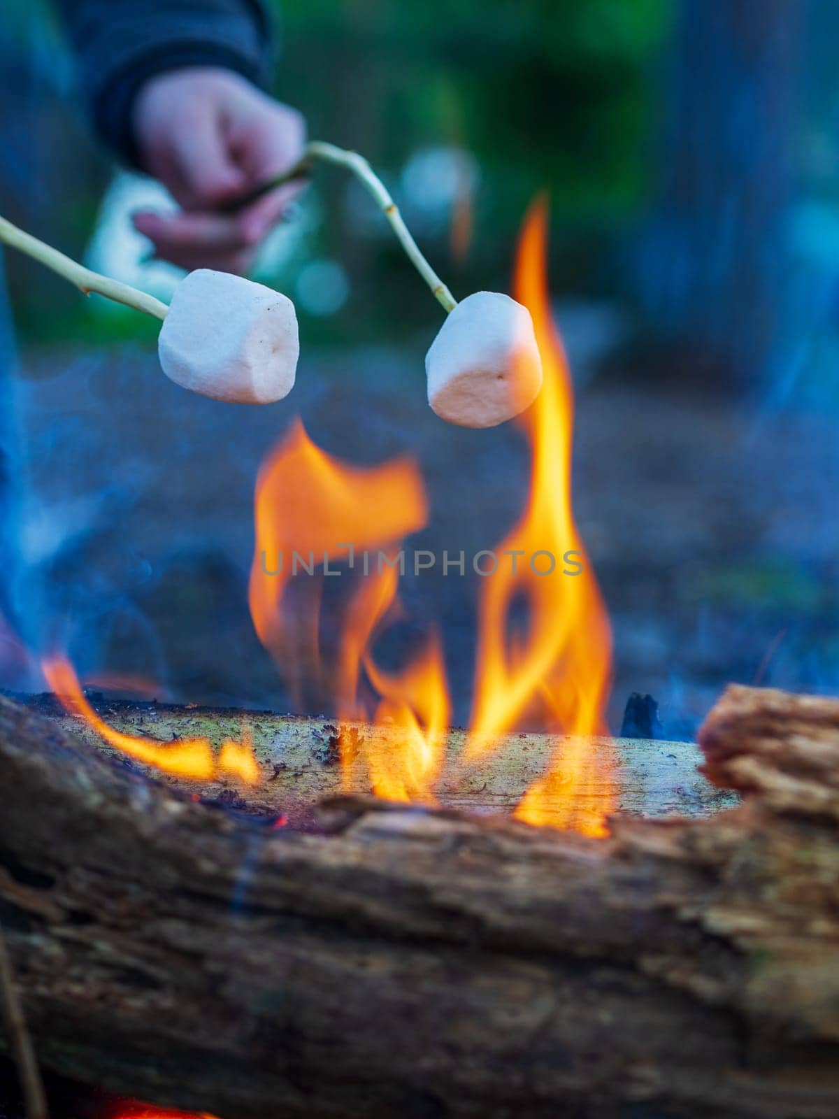Marshmallow on skewers is fried at the stake