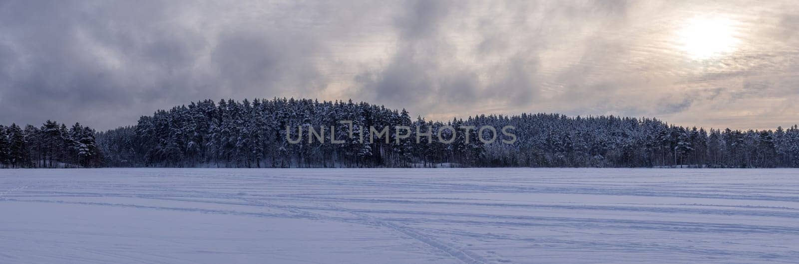 Forest after a heavy snowfall. Winter ponamramny landscape. Morning in the winter forest with freshly fallen snow