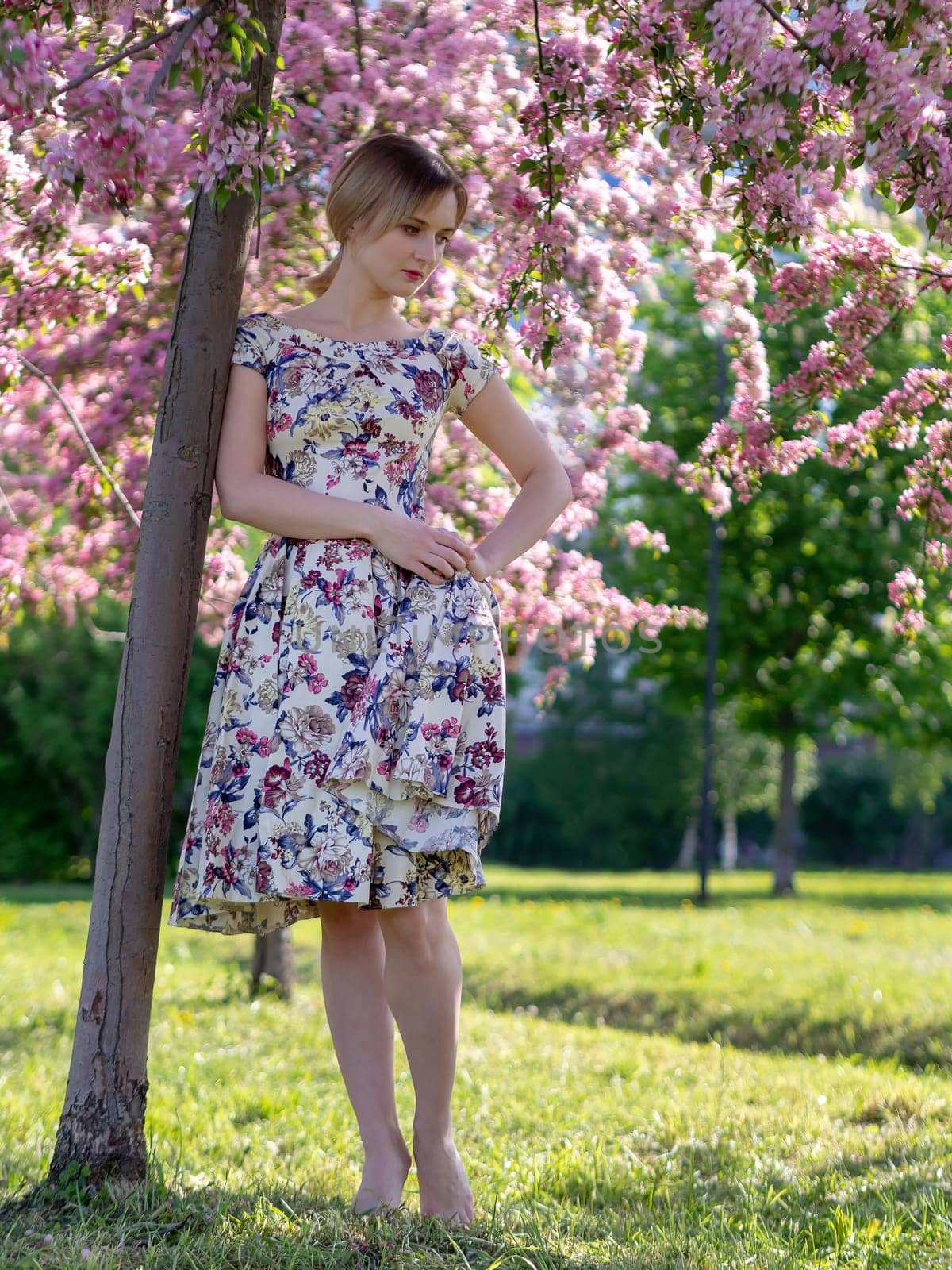 Beautiful young girl in a flowered garden. Tender woman in a dress with a floral print among blooming spring apple trees. by Andre1ns