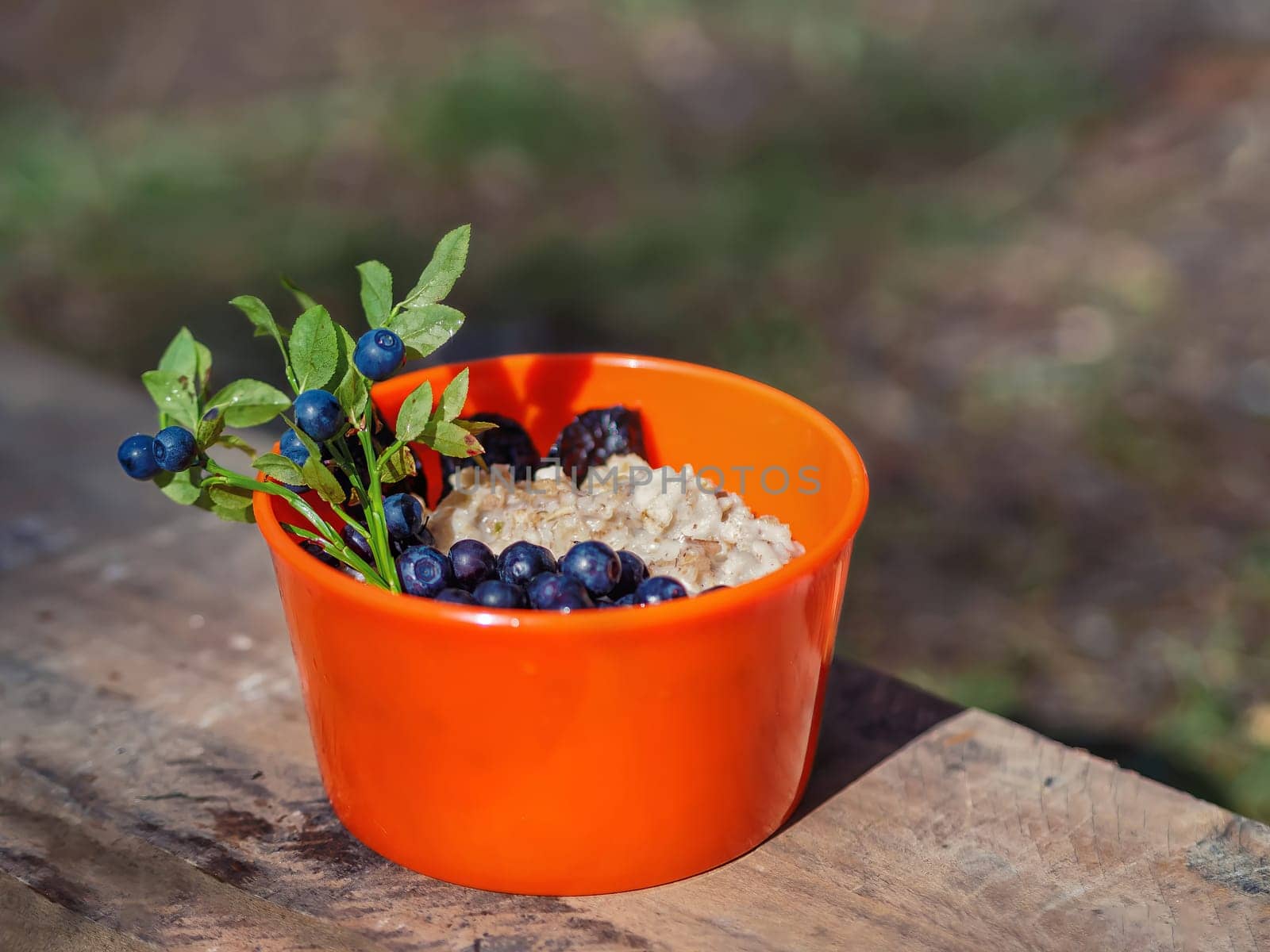 Oatmeal with blueberries in an orange plate on the nature in the forest. Hiker's breakfast. by Andre1ns