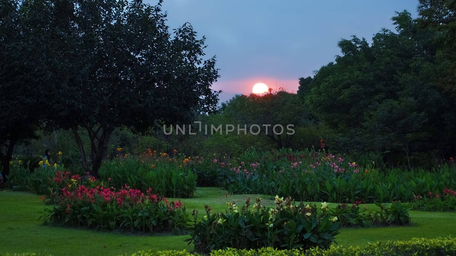 Sunset in beautiful park, City park under sunny light