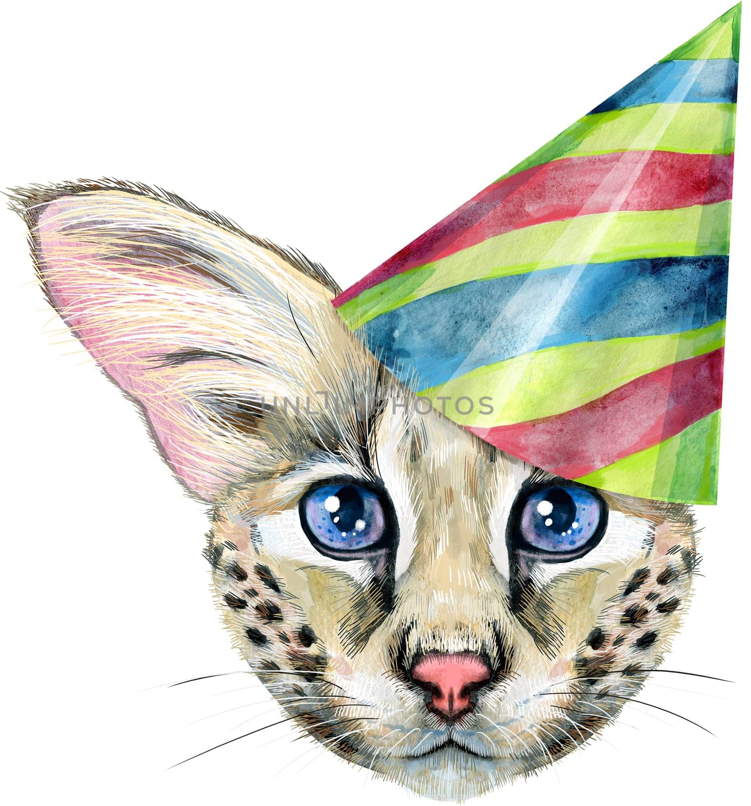 Cute cat in party hat. Cat for t-shirt graphics. Watercolor Savannah cat illustration