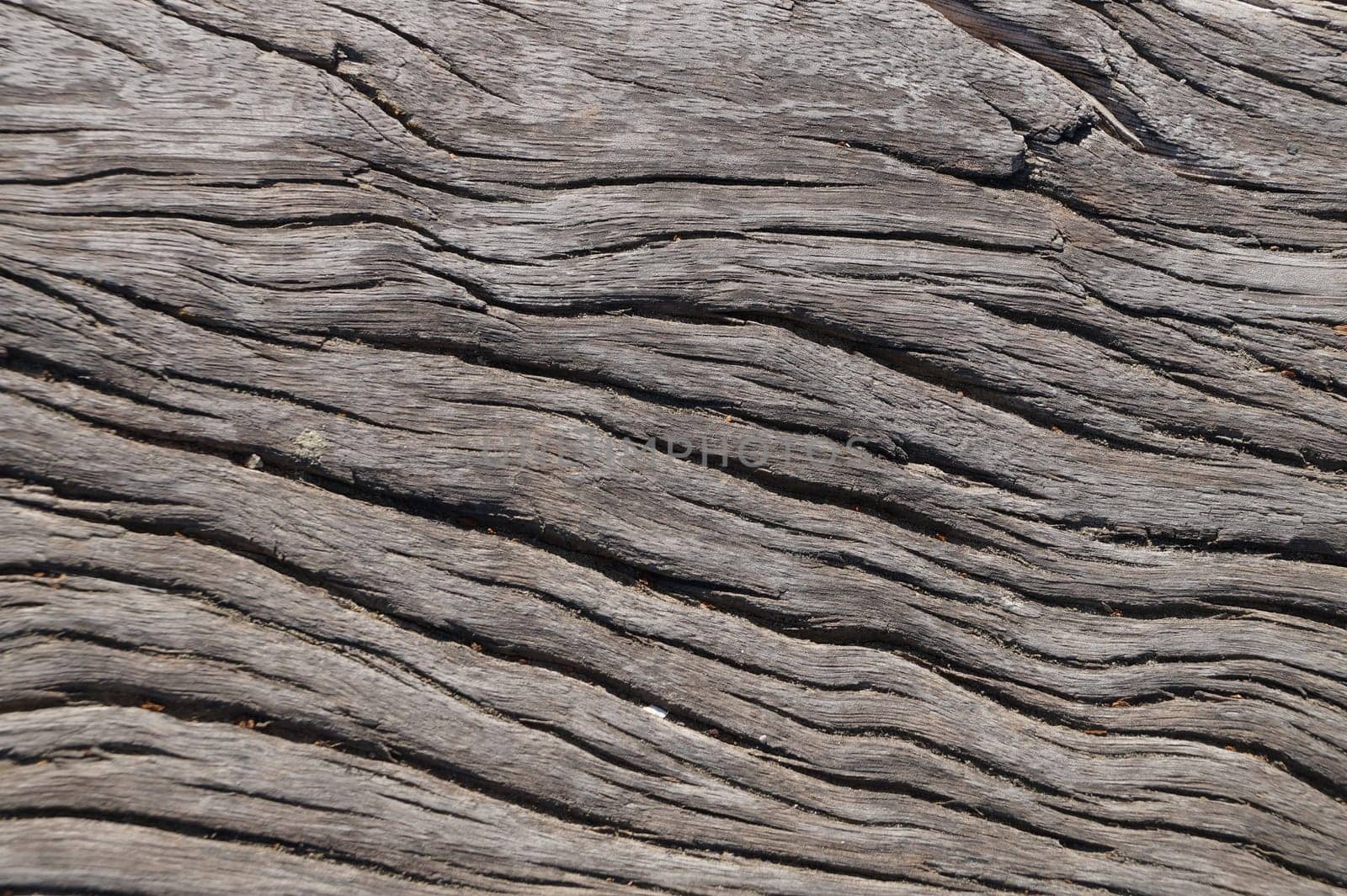 aged wood texture for natural background by Annado