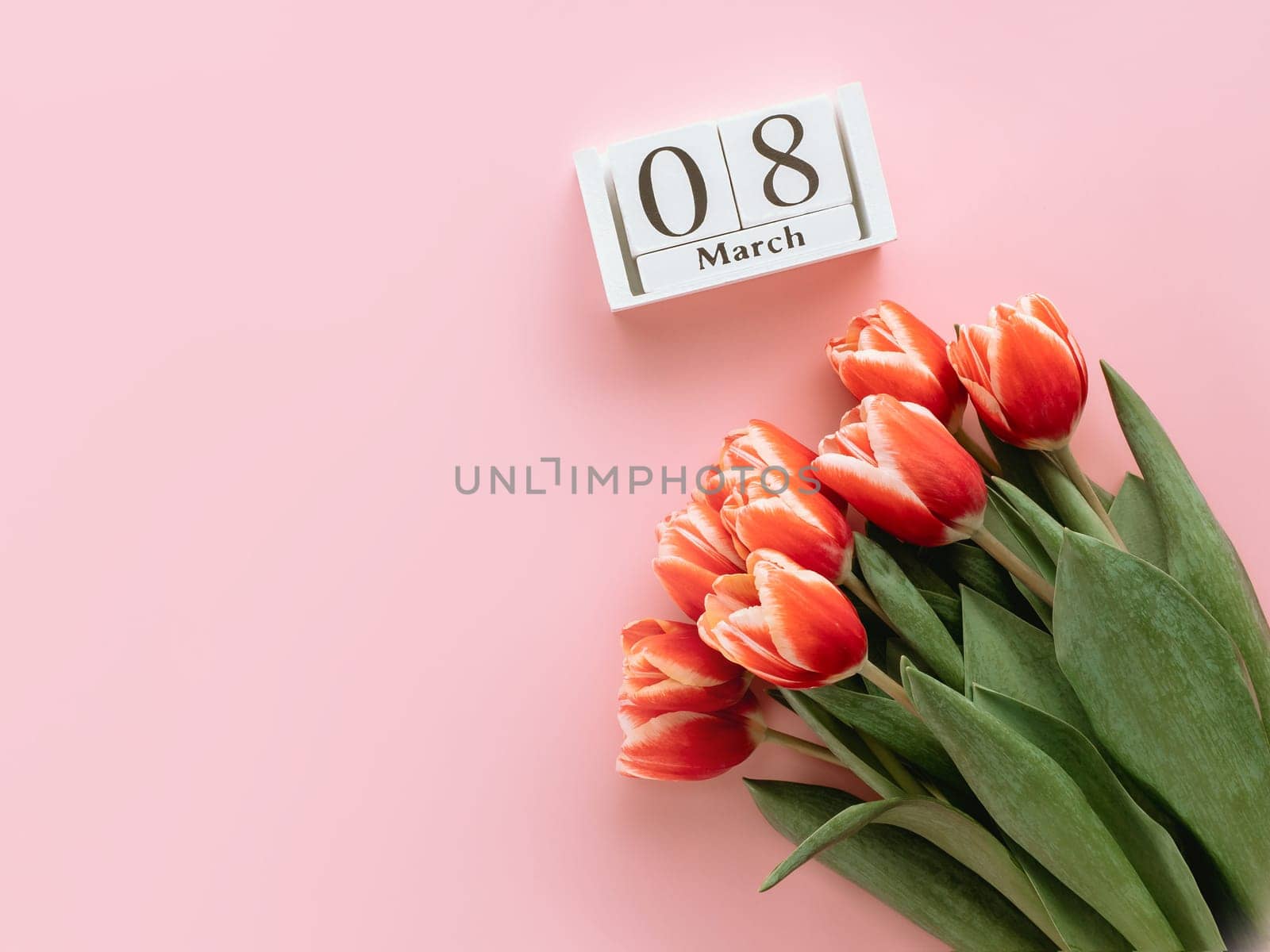 International women's day or eight march concept with copy space. 8 march date on perpetual calendar and bunch of red tulip on pink background. Top view or flat lay