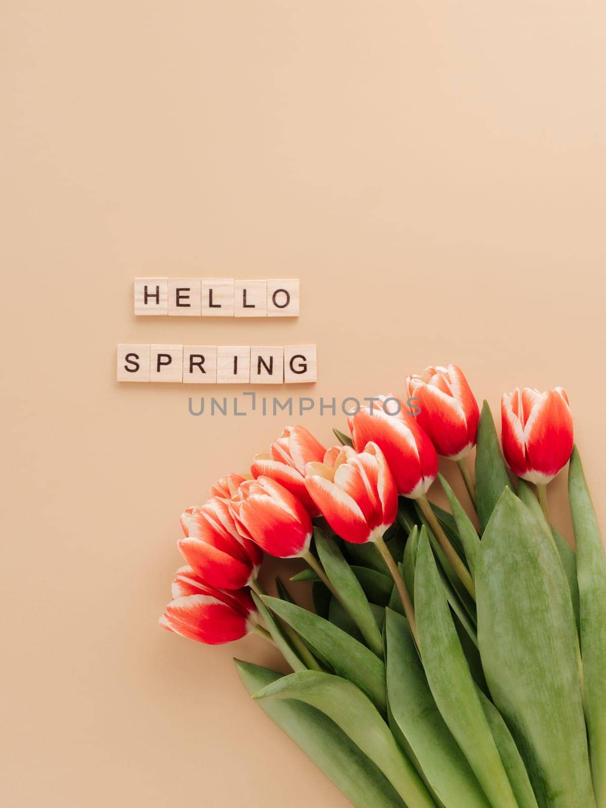 Hello spring concept. Aesthetic background for beginning of spring. Hello spring text and bunch of red tulip on beige champagne background. Top view or flat lay