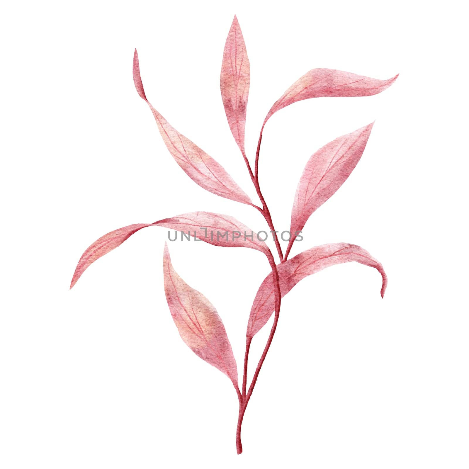 Hand drawn watercolor illustration of branch with peach fuzz orange pink leaves on white background. Lilac leaf plant colorful bright saturated print. Nature mystic elegant magic wood plant, botanical