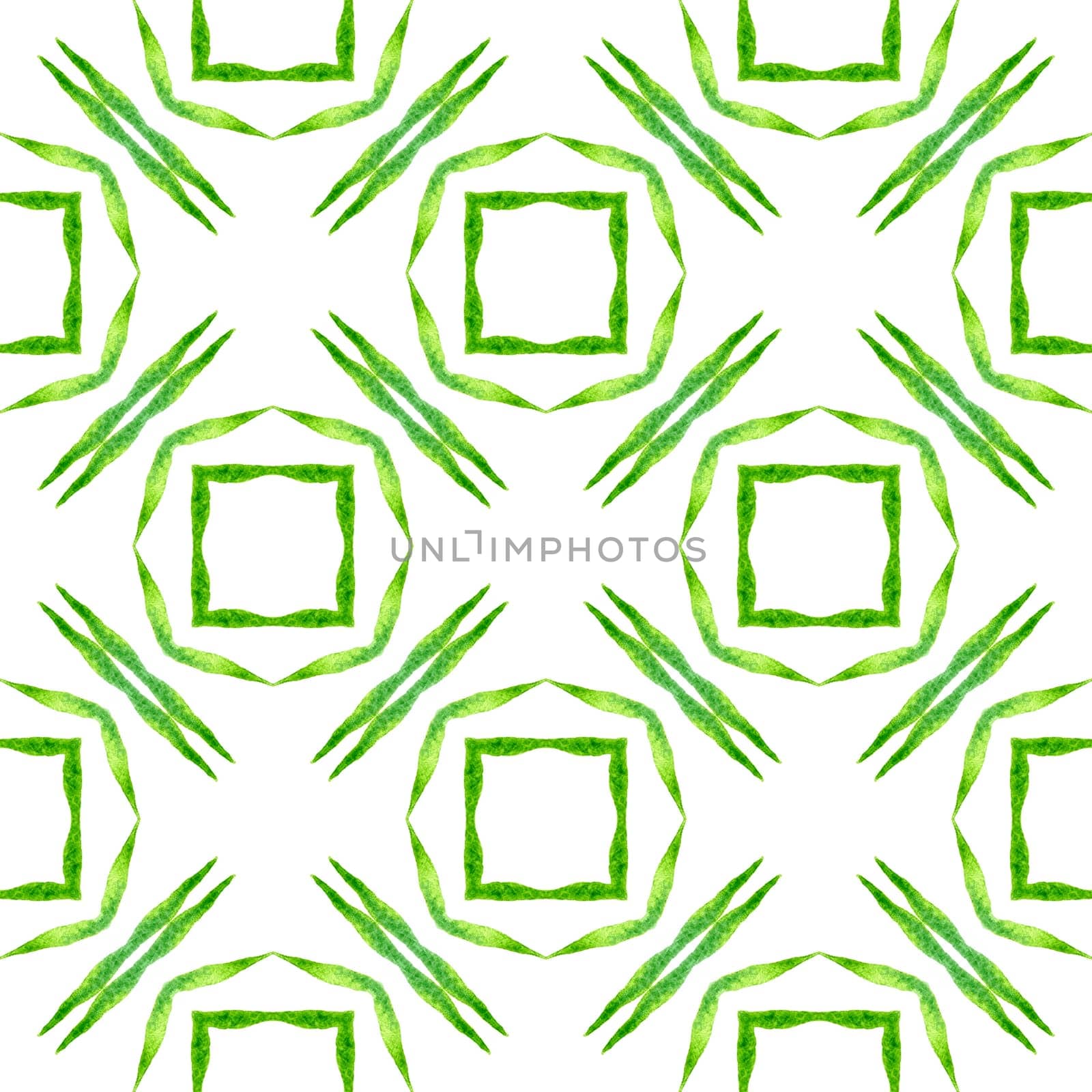 Tropical seamless pattern. Green shapely boho chic summer design. Hand drawn tropical seamless border. Textile ready uncommon print, swimwear fabric, wallpaper, wrapping.