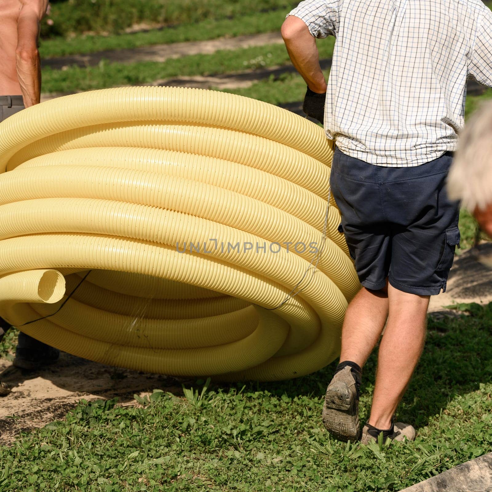 Workers carry a roll of yellow drainage pipe in their hands. Preparation for drainage works and removal of groundwater.