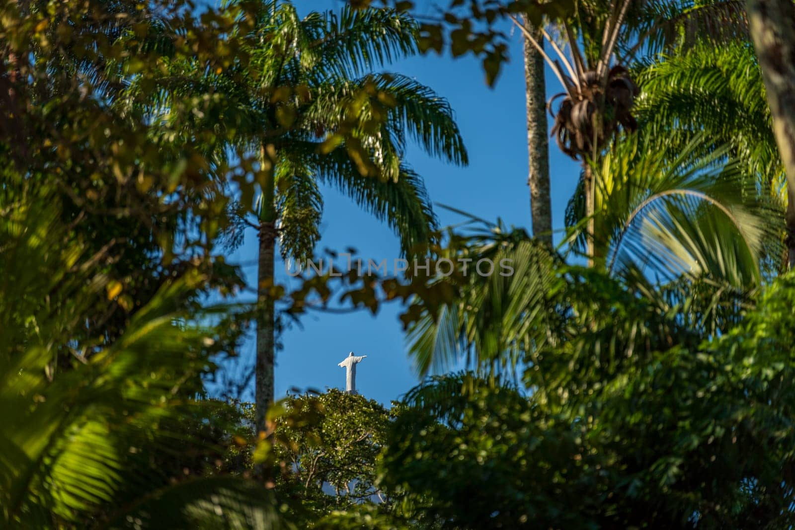 Iconic Statue Visible Through Lush Tropical Foliage by FerradalFCG